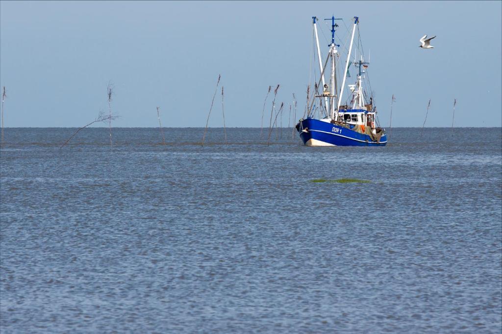 Cuxland-Ferienpark Nordseebad Dorum Exteriör bild