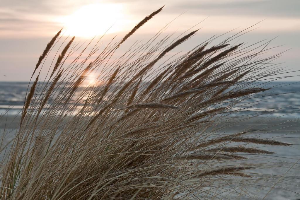 Cuxland-Ferienpark Nordseebad Dorum Exteriör bild